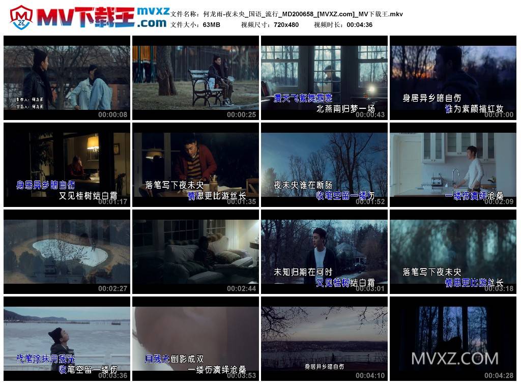 何龙雨-夜未央_国语_流行_MD200658